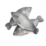 Black tilapia 500-800g 4 kg